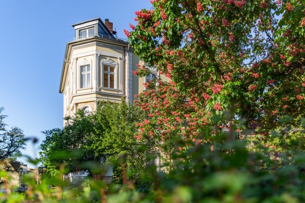 Die Villa Leutert in Gießen zur Kirschblüte