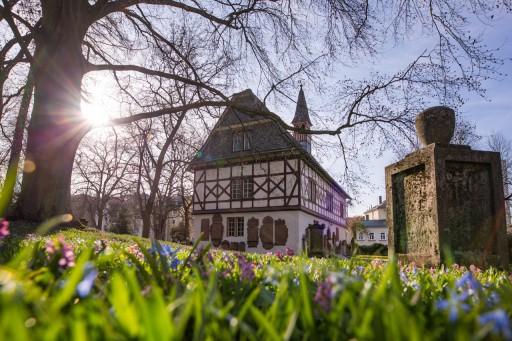 „Frühlingserwachen auf dem alten Friedhof"