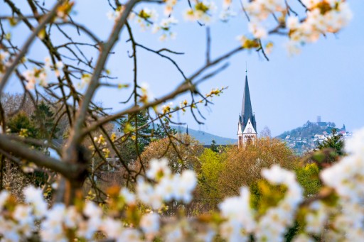 Frühling in Gießen