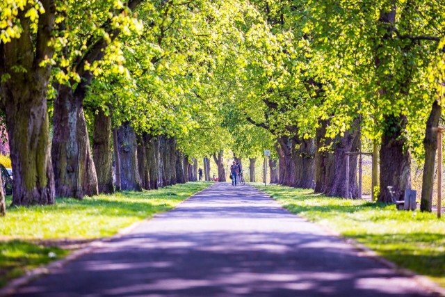 Die Eichgärtenallee in Gießen