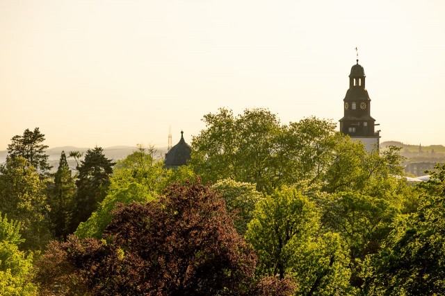 Abendsonne über dem Botanischen Garten und dem Stadtkirchenturm
