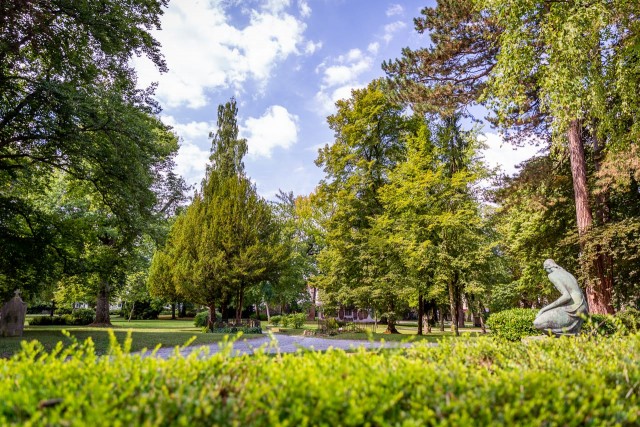 Der alte Friedhof in Gießen