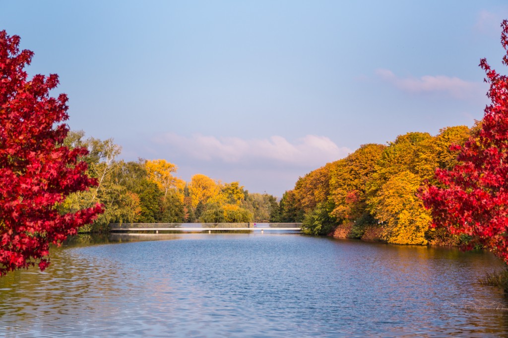 Ein Bild der wunderbaren Herbstfarben am Schwanenteich in Gießen