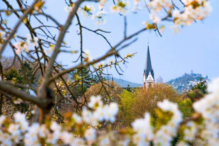 Die ersten Blüten am Riegelpfad mit St. Bonifatius und Burg Gleiberg im Hintergrund
