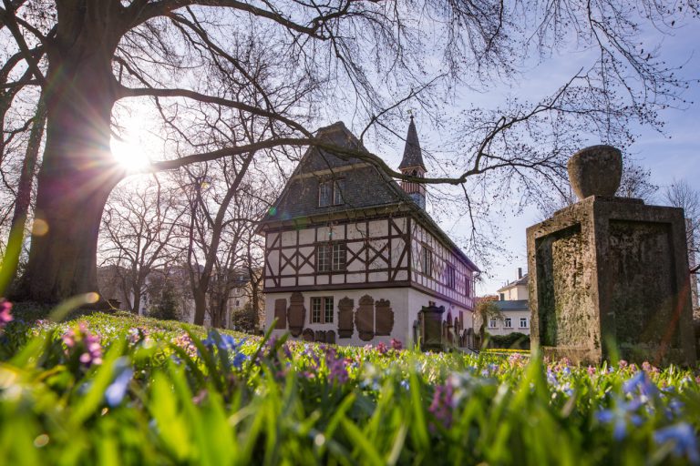 Frühlingserwachen auf dem alten Friedhof