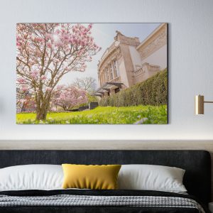Frühling am Gießener Stadttheater