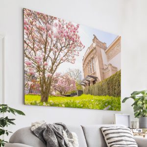 Frühling am Gießener Stadttheater