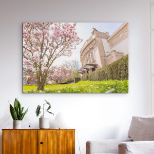 Frühling am Gießener Stadttheater