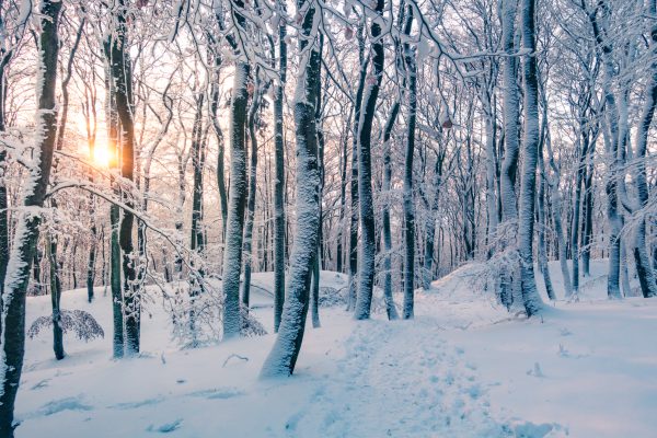 Winterwanderung am Dünsberg
