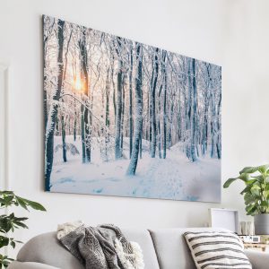 Winterwanderung am Dünsberg