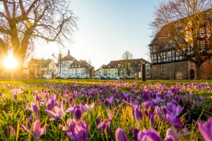 Frühlingserwachen vor dem Zeughaus