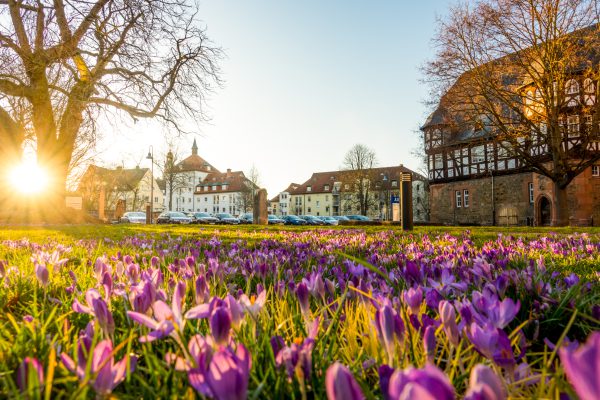 Frühlingserwachen vor dem Zeughaus