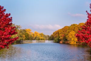 Herbstfarben am Schwanenteich
