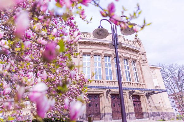 Das Stadttheater zur Magnolienblüte