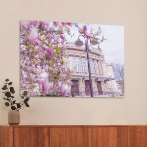 Das Stadttheater zur Magnolienblüte