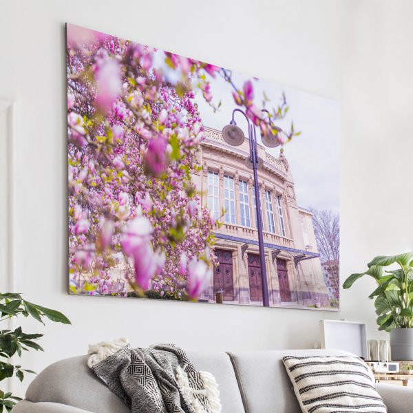 Das Stadttheater zur Magnolienblüte