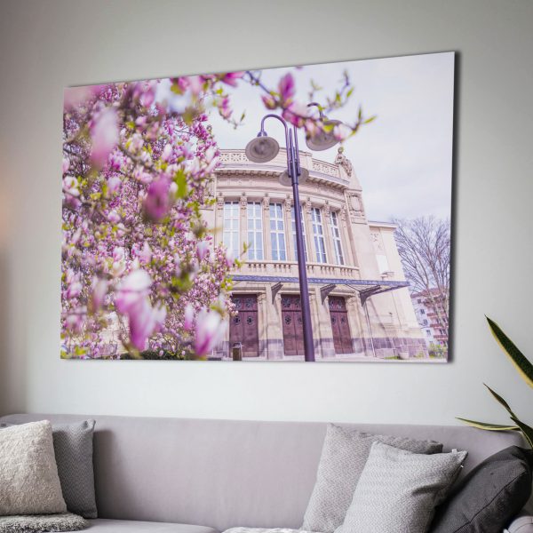 Das Stadttheater zur Magnolienblüte