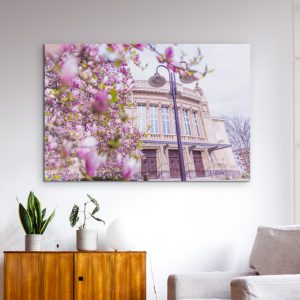 Das Stadttheater zur Magnolienblüte