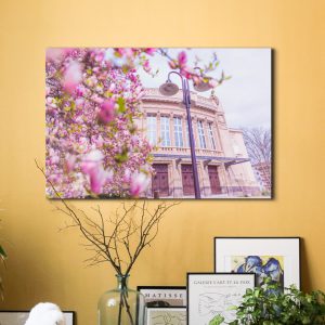 Das Stadttheater zur Magnolienblüte
