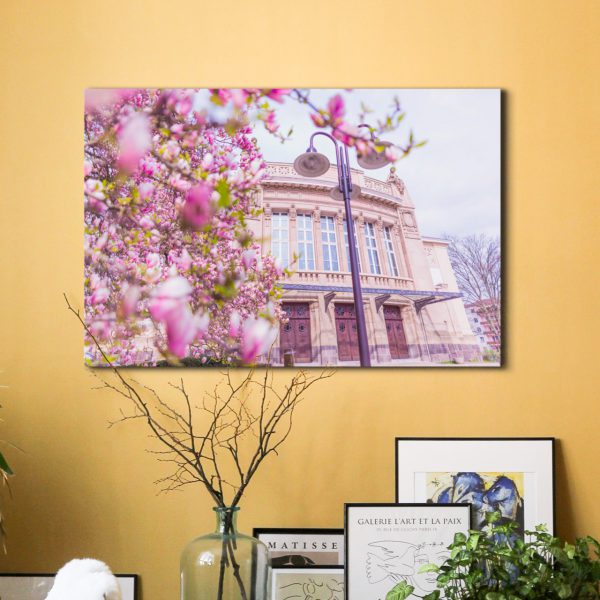 Das Stadttheater zur Magnolienblüte