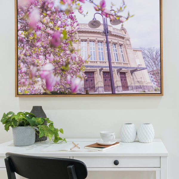 Das Stadttheater zur Magnolienblüte