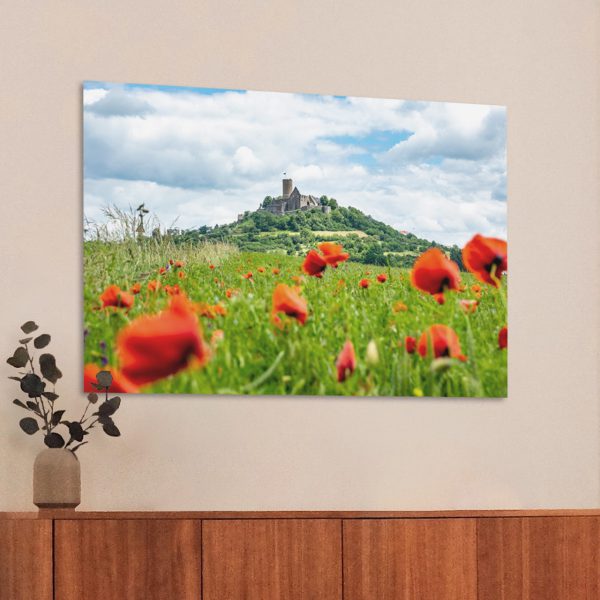 Die Burg Gleiberg im Mohnblumenmeer
