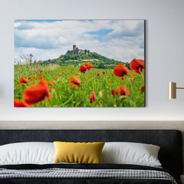 Die Burg Gleiberg im Mohnblumenmeer
