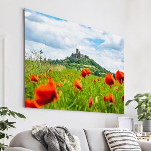 Die Burg Gleiberg im Mohnblumenmeer