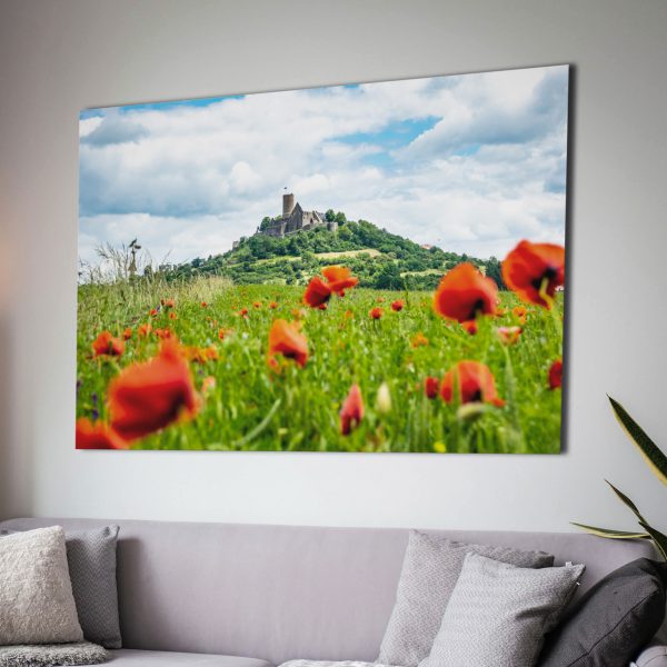 Die Burg Gleiberg im Mohnblumenmeer