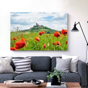 Die Burg Gleiberg im Mohnblumenmeer