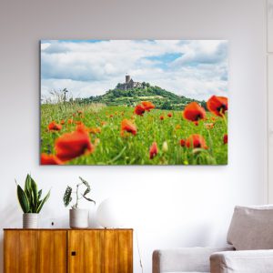 Die Burg Gleiberg im Mohnblumenmeer