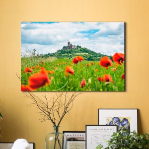 Die Burg Gleiberg im Mohnblumenmeer