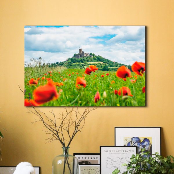 Die Burg Gleiberg im Mohnblumenmeer