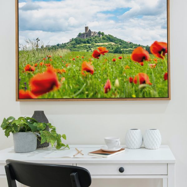 Die Burg Gleiberg im Mohnblumenmeer
