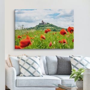 Die Burg Gleiberg im Mohnblumenmeer