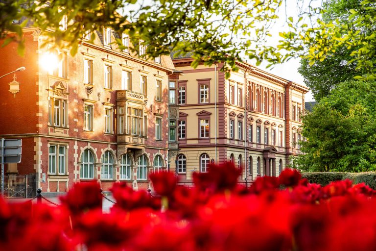 Tulpenmeer an der Südanlage mit Blick auf das ehemalige Landgraf-Ludwigs-Gymnasium