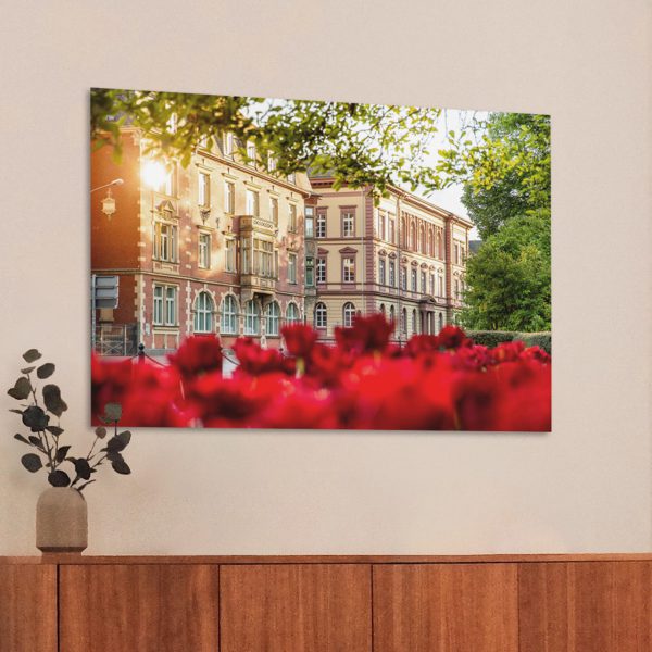 Tulpenmeer an der Südanlage mit Blick auf das ehemalige Landgraf-Ludwigs-Gymnasium