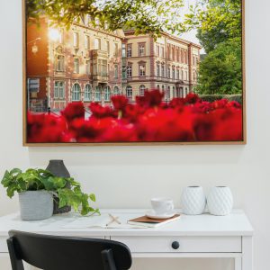 Tulpenmeer an der Südanlage mit Blick auf das ehemalige Landgraf-Ludwigs-Gymnasium