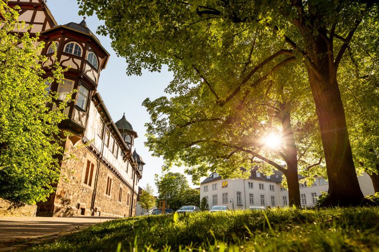 Herrliche Abendsonne am Neuen Schloss