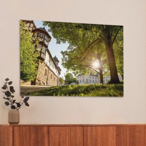 Herrliche Abendsonne am Neuen Schloss