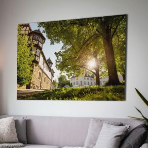 Herrliche Abendsonne am Neuen Schloss