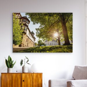 Herrliche Abendsonne am Neuen Schloss