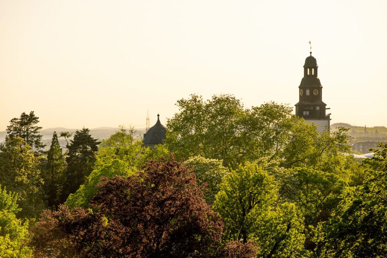 Abendsonne über dem Botanischen Garten und dem Stadtkirchenturm