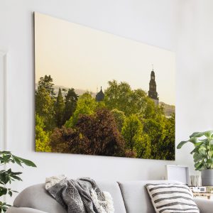 Abendsonne über dem Botanischen Garten und dem Stadtkirchenturm