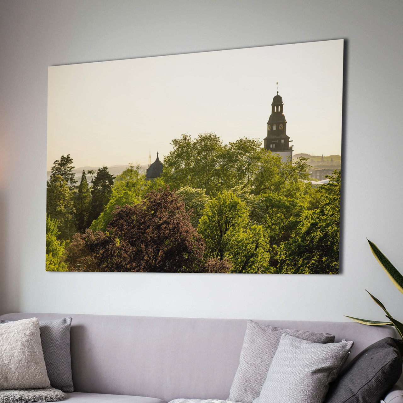 Abendsonne über dem Botanischen Garten und dem Stadtkirchenturm