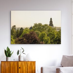 Abendsonne über dem Botanischen Garten und dem Stadtkirchenturm