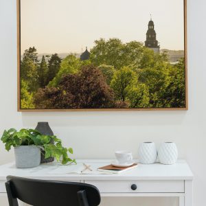 Abendsonne über dem Botanischen Garten und dem Stadtkirchenturm