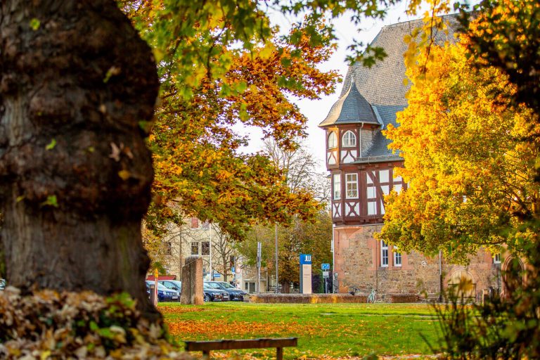 Herbsttag vor dem Neuen Schloss