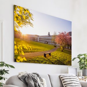 Das Finanzamt Gießen kurz vor Sonnenuntergang