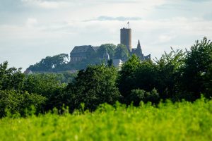 Sommergrün rund um die Burg Gleiberg